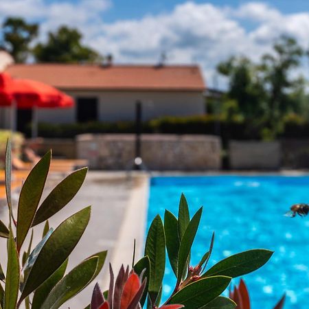 Agriturismo Il Tripesce Вада Екстериор снимка