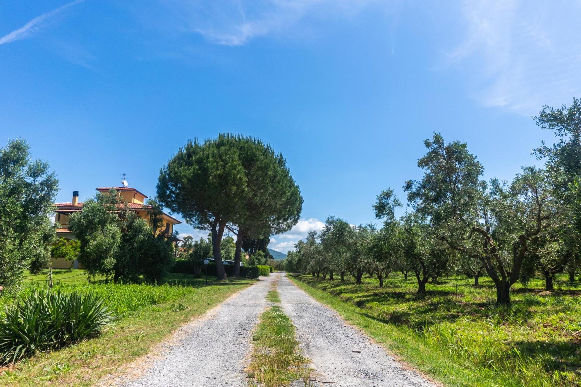 Agriturismo Il Tripesce Вада Екстериор снимка
