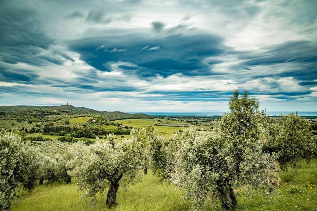 Agriturismo Il Tripesce Вада Екстериор снимка