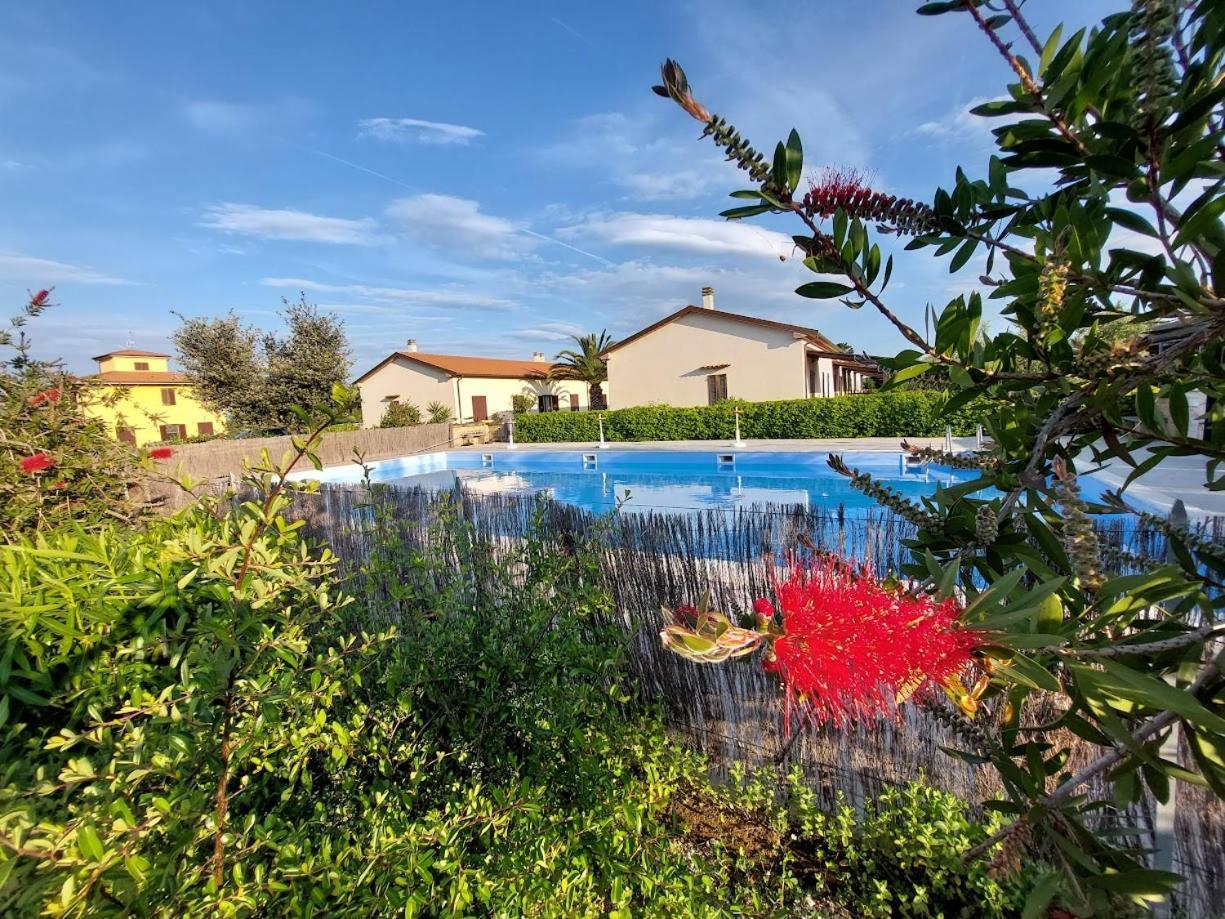 Agriturismo Il Tripesce Вада Екстериор снимка