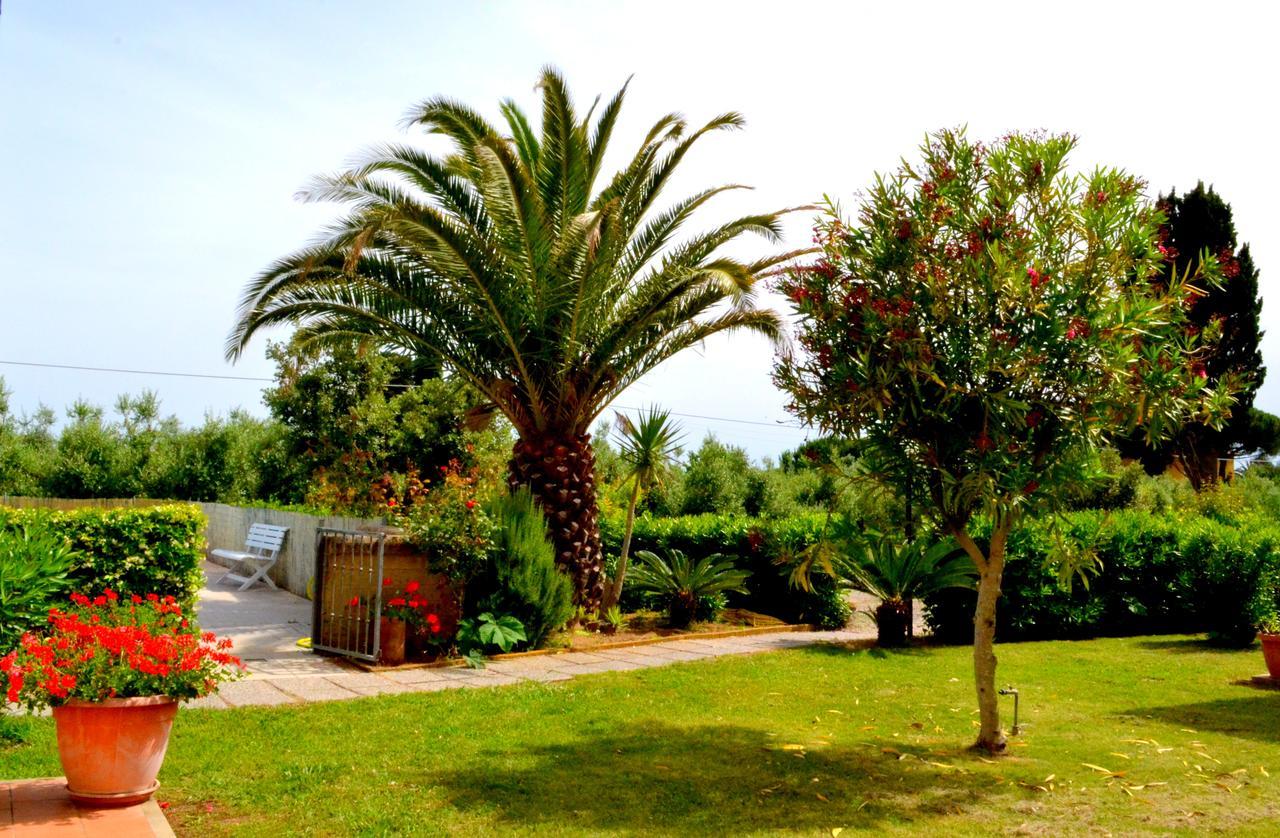 Agriturismo Il Tripesce Вада Екстериор снимка